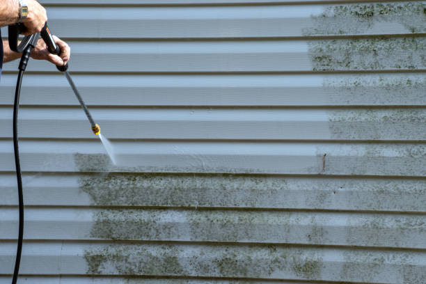 Affordable siding repair and maintenance services in Thurmont, MD